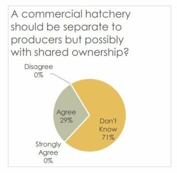 Producers are undecided about who should own a commercial hatchery. Image: Shell-volution report. Producers are undecided about who should own a commercial hatchery. Image: Shell-volution report.