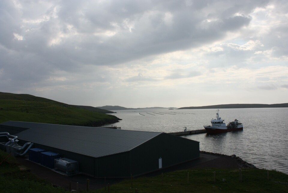 Grieg's new RAS hatchery at Girlsta will allow for the production of bigger smolts and shorter growing cycles. Image by Rob Fletcher.
