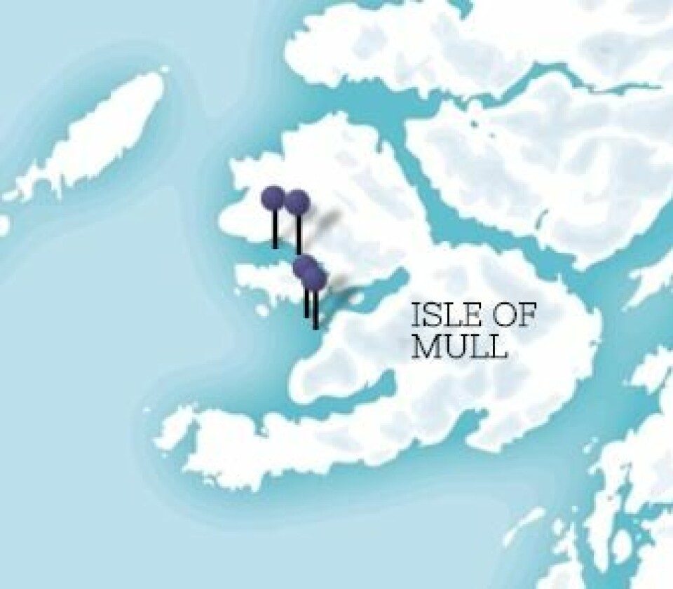 The Scottish Salmon Company has four sites on Mull. Photo: SSC