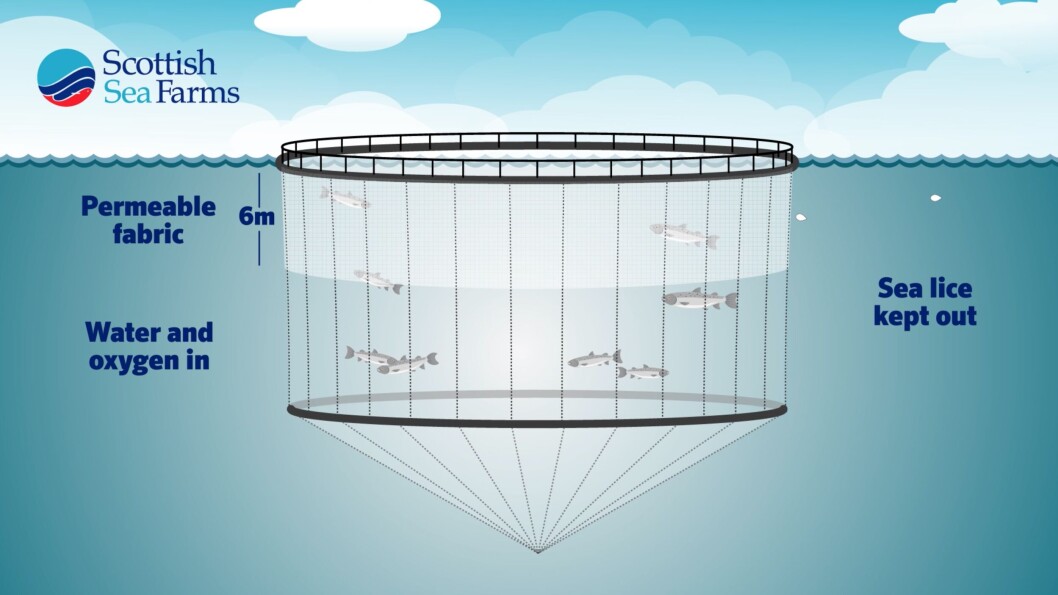Scottish Sea Farms is spending £800,000 on lice skirts after seeing good results in Shetland. Image: SSF Scottish Sea Farms is spending £800,000 on lice skirts after seeing good results in Shetland. Image: SSF