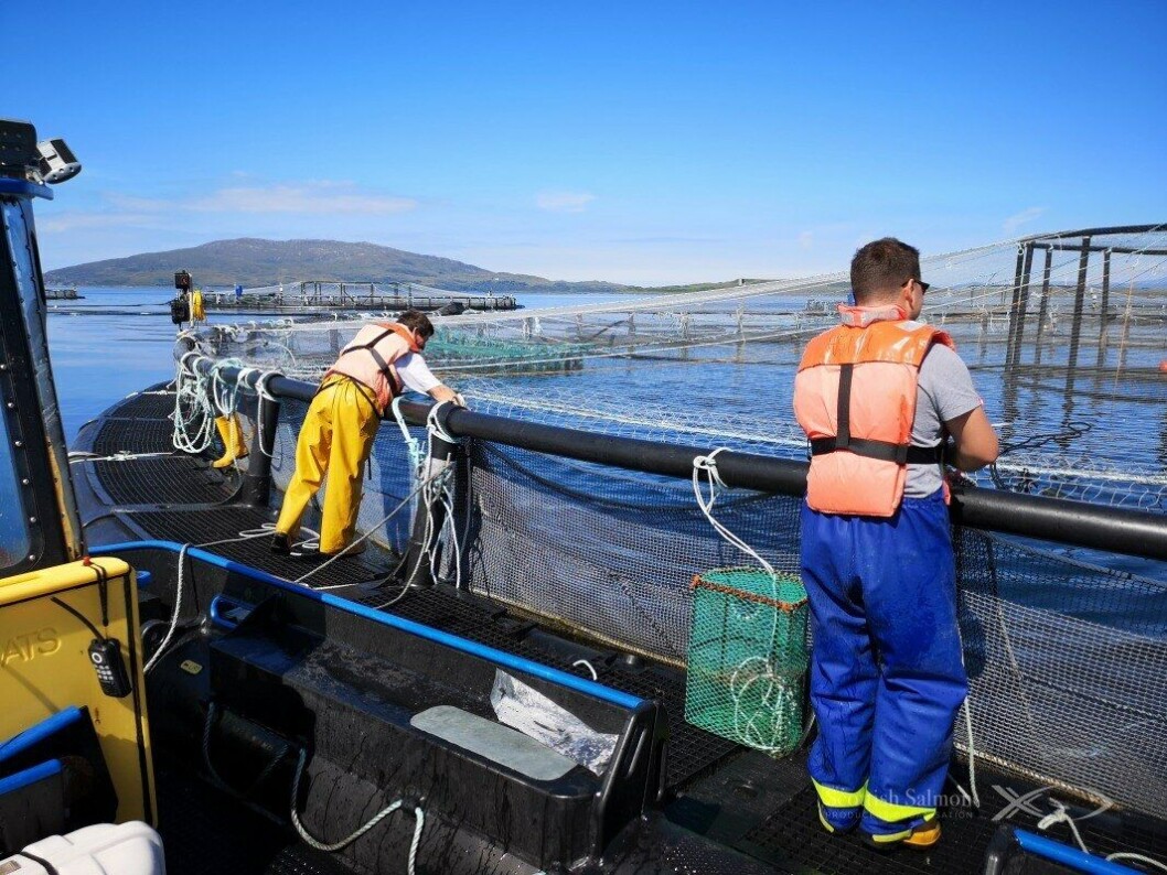 The Scottish Salmon Producers’ Organisation is strengthening its sustainability team The Scottish Salmon Producers’ Organisation is strengthening its sustainability team