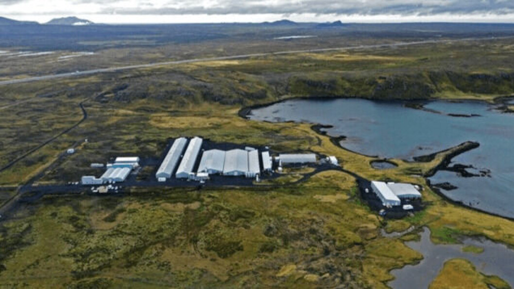 Vogavik broodstock and incubation centre. Photo: Benchmark. Vogavik broodstock and incubation centre. Photo: Benchmark.