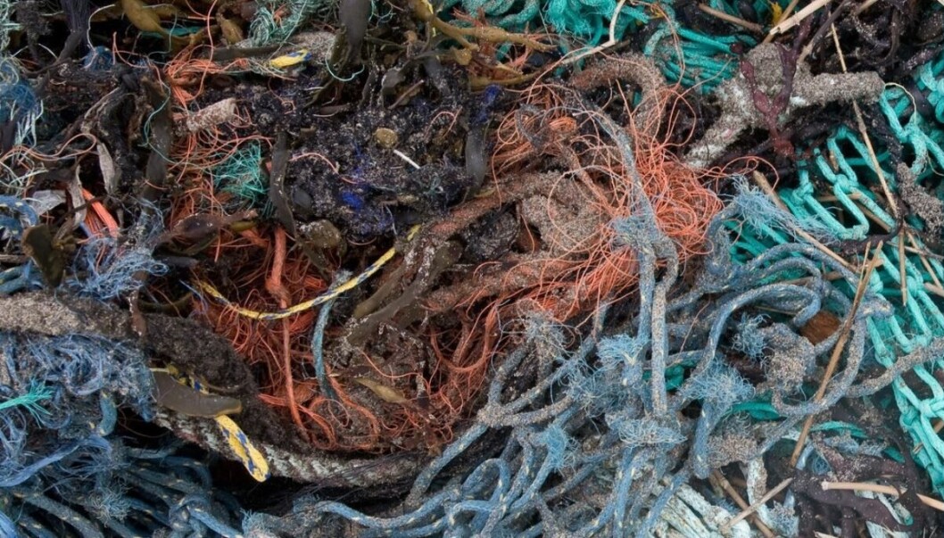 Discarded or lost fishing nets such are these are the most common examples of ghost gear, but aquaculture equipment can find its way into the oceans too, says ASC. Photo: Global Ghost Gear Initiative. Discarded or lost fishing nets such are these are the most common examples of ghost gear, but aquaculture equipment can find its way into the oceans too, says ASC. Photo: Global Ghost Gear Initiative.