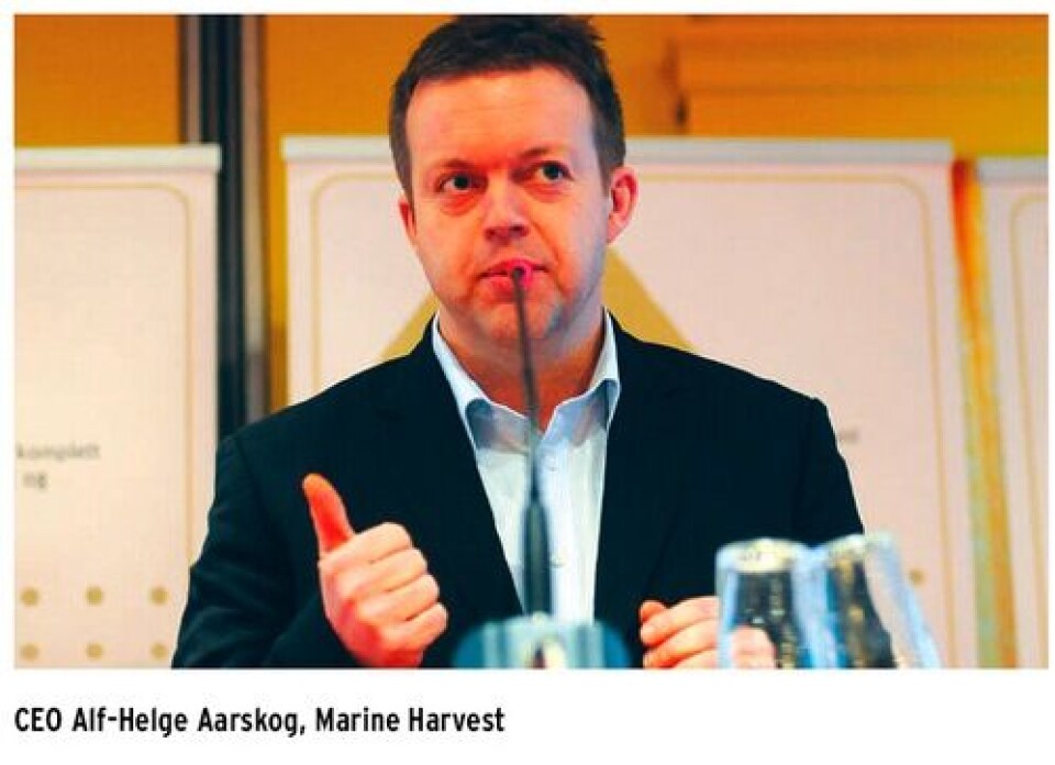 Strong market outlook, reports Marine Harvest