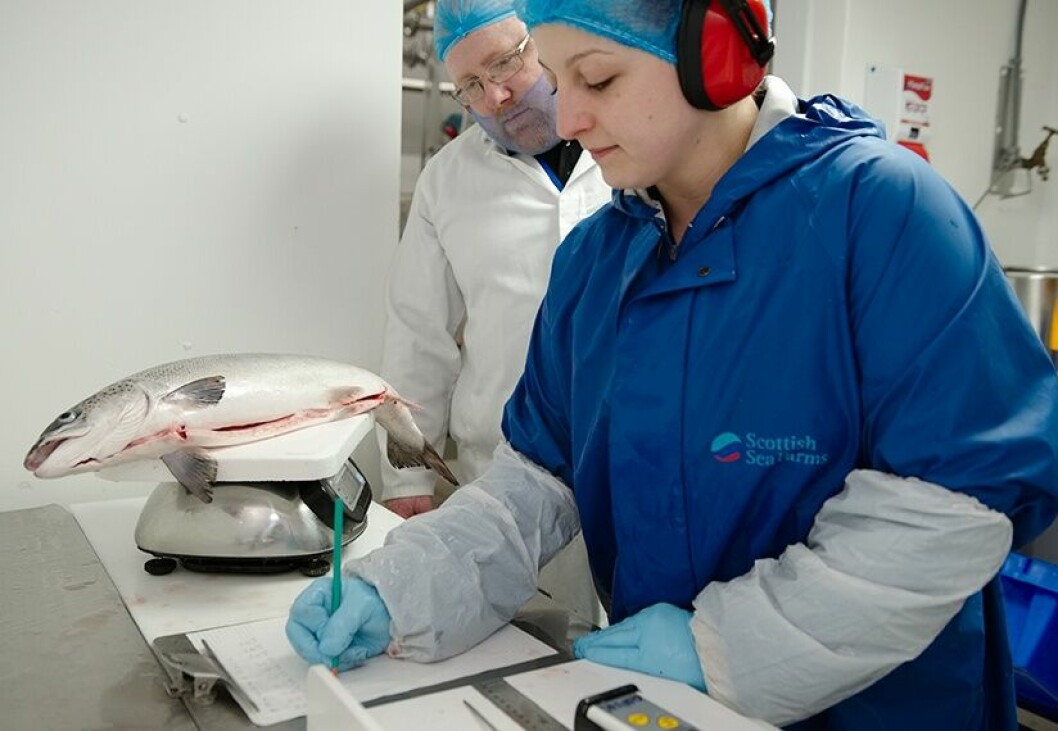 Scottish Sea Farms is among the companies participating in the Aquaculture Internship Talent Pipeline Graduate Programme 2017.