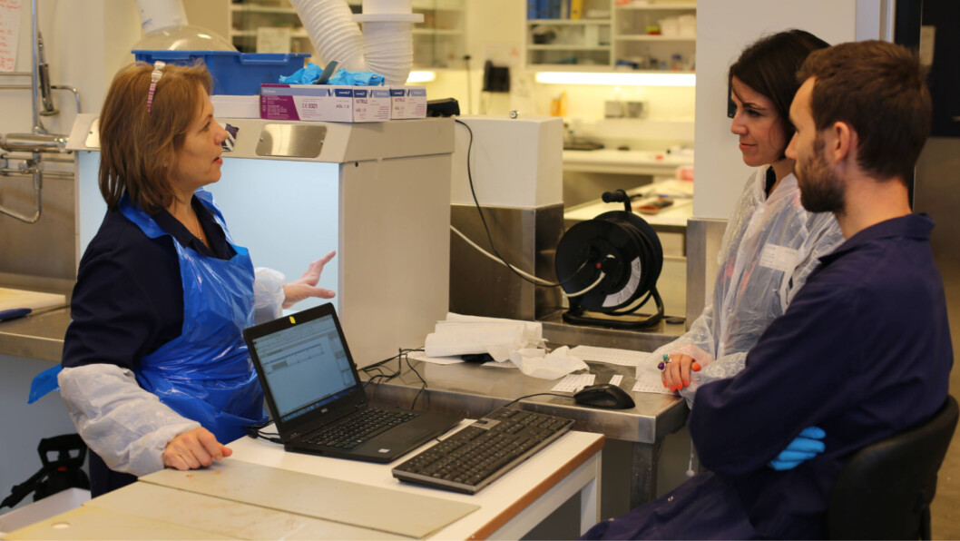 Nofima researcher Dr Turid Mørkøre, left, and Dr Tibiabin Benitez-Santana, Aker BioMarine’s director R&D fish nutrition. Photo: Aker BioMarine. Nofima researcher Dr Turid Mørkøre, left, and Dr Tibiabin Benitez-Santana, Aker BioMarine’s director R&D fish nutrition. Photo: Aker BioMarine.
