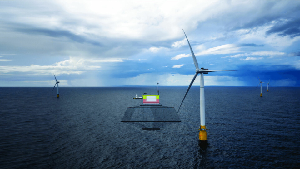 Room to grow: a feasibility study has shown that Scotland could produce 1 million tonnes of salmon annually by siting 3,000-tonne capacity cages among floating wind turbines. Montage: Said Kalil. Original photo: Øyvind Gravås / Woldcam - Statoil ASA.