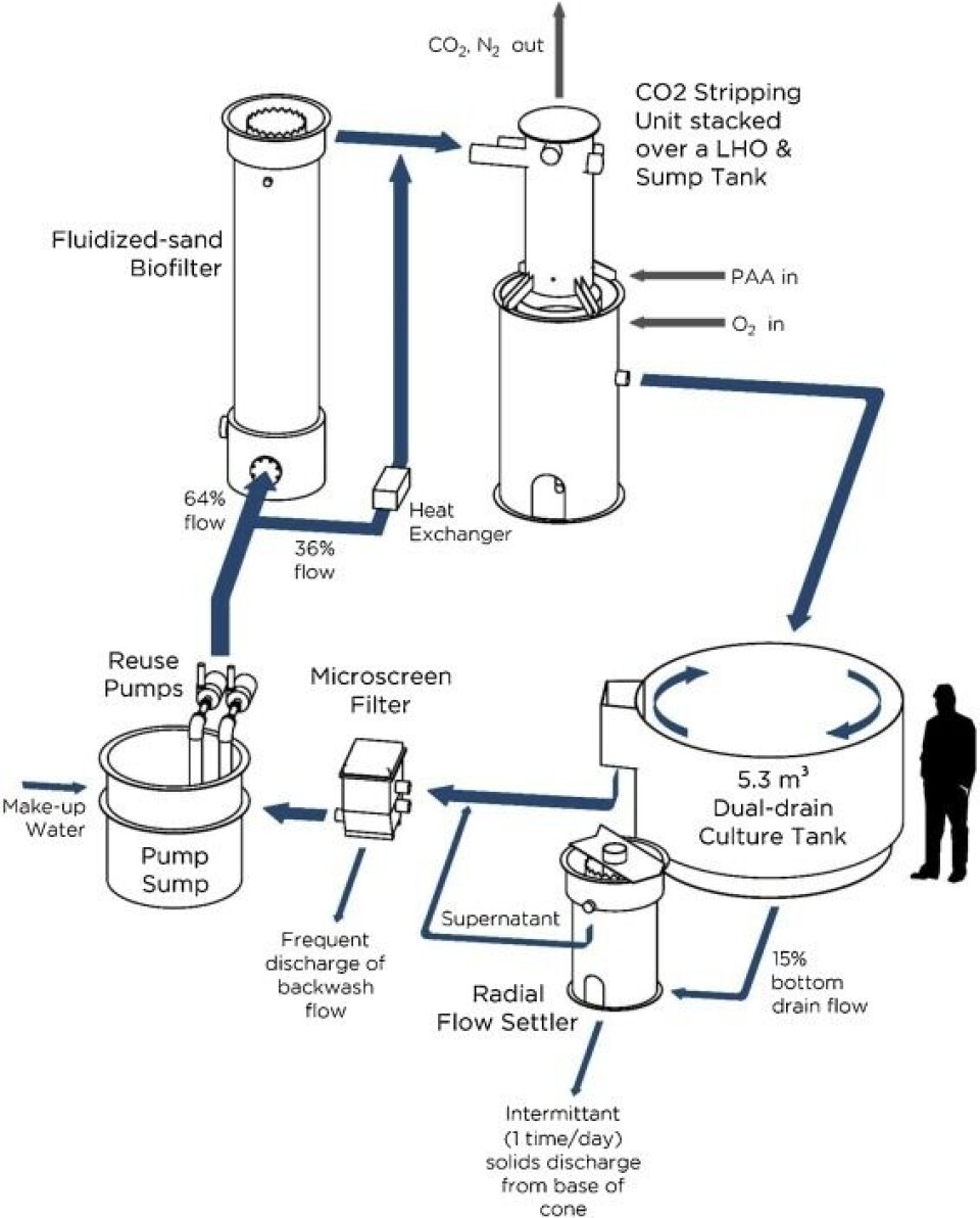 Ras Filtration Process Study: Ozone still out on its own as RAS water treatment