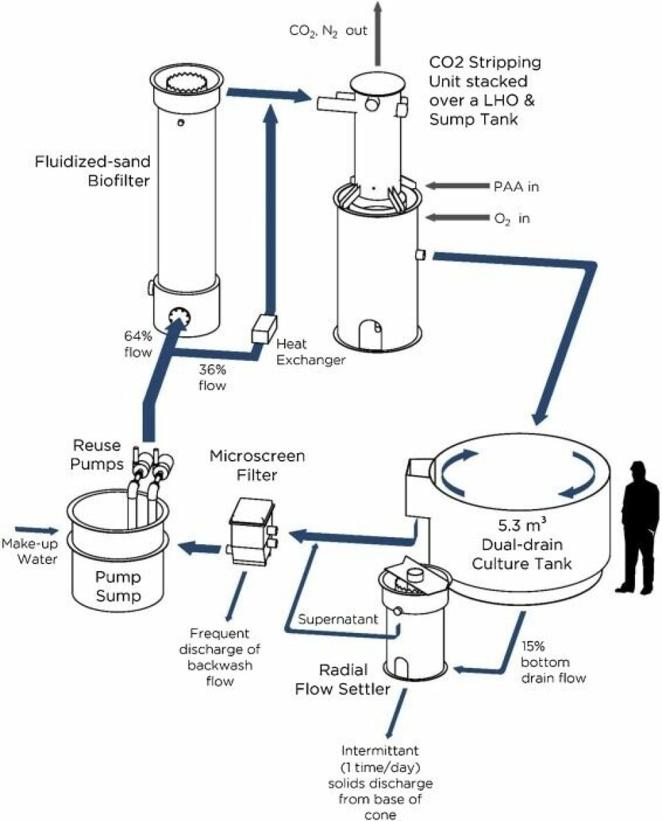 Water flow, process design, and point of PAA application for an individual experimental reuse system (9.5 m3) used during the study. Click to enlarge image. Illustration: Kata Sharrer, TCFFI Engineering Services.