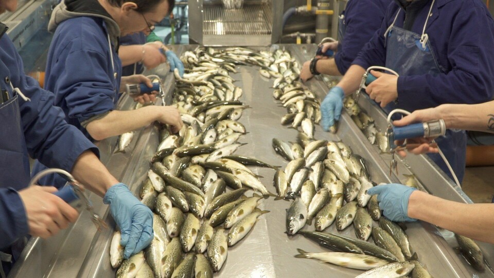 Operators at existing fish farm sites are being asked to reduce their application of emamectin benzoate by 60 per cent.