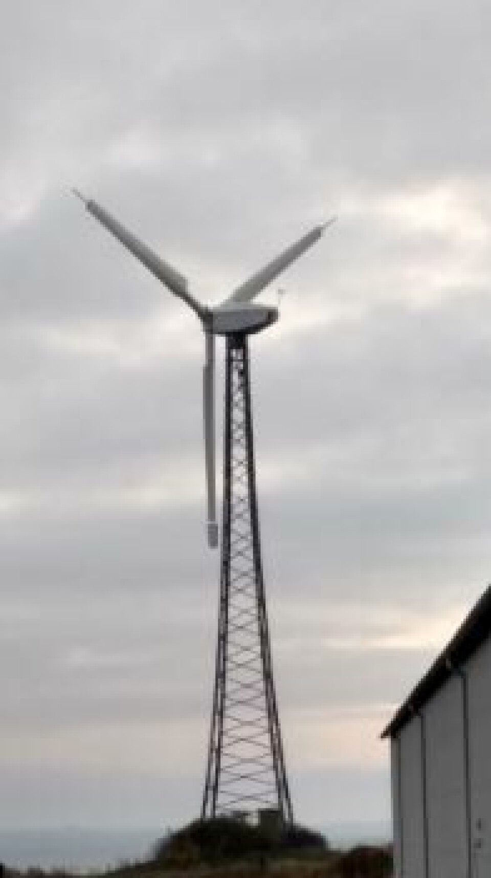 A wind turbine takes care of the RAS facility's power requirements. Photo: Biofarm ApS