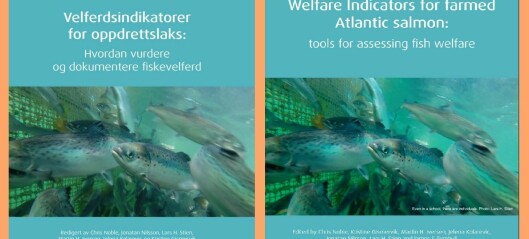 Talking our language: welfare indicators handbook now available in English