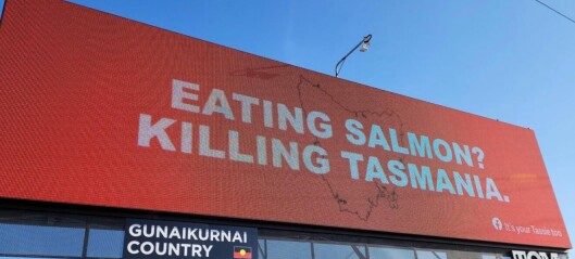 Tasmanian Premier slams anti-salmon farming billboard campaign