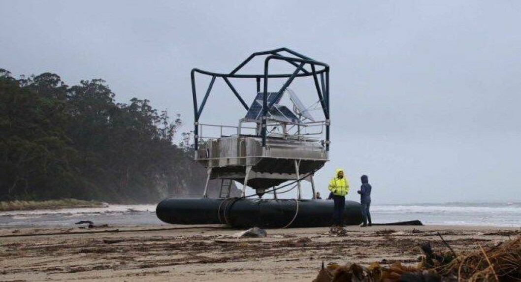 The feed buoy which broke open a Huon cage before being washed ashore. Photo: ABC News: Ellen Coulter