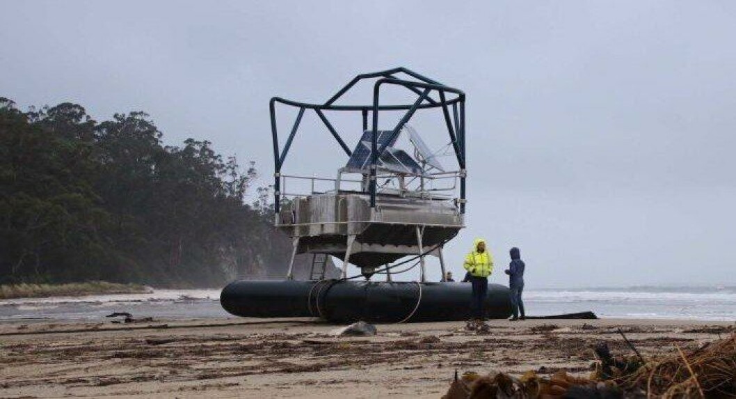 The feed buoy which broke open a Huon cage before being washed ashore. Photo: ABC News: Ellen Coulter The feed buoy which broke open a Huon cage before being washed ashore. Photo: ABC News: Ellen Coulter
