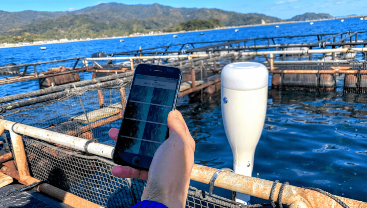 Fish Measure Device Tech developer offers portable fish size measuring