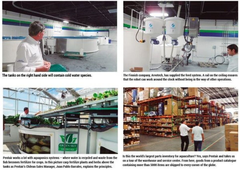 Tech giant sets its sights on aquaculture