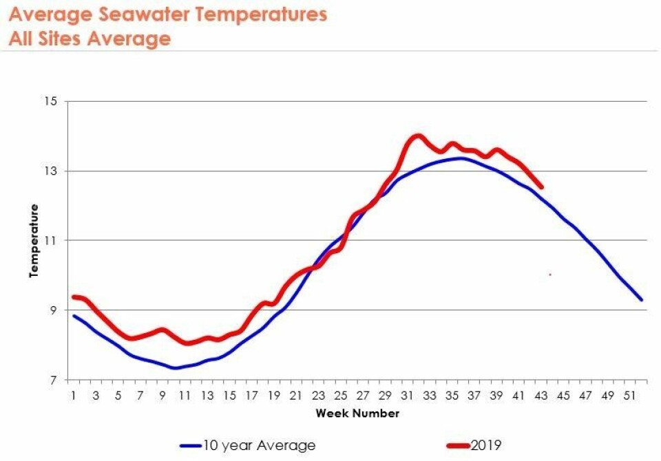 Sea water temperatures at Mowi's sites have been above average almost every week this year. Graphic: Mowi Scotland.