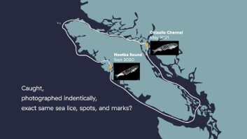 A map showing where the lice-infested salmon originated and where it would have had to travel if it had been photographed in Osikollo Channel, Discovery Islands, as implied by an anti-salmon farming social media post. Click on image to enlarge. Image: BCSFA.