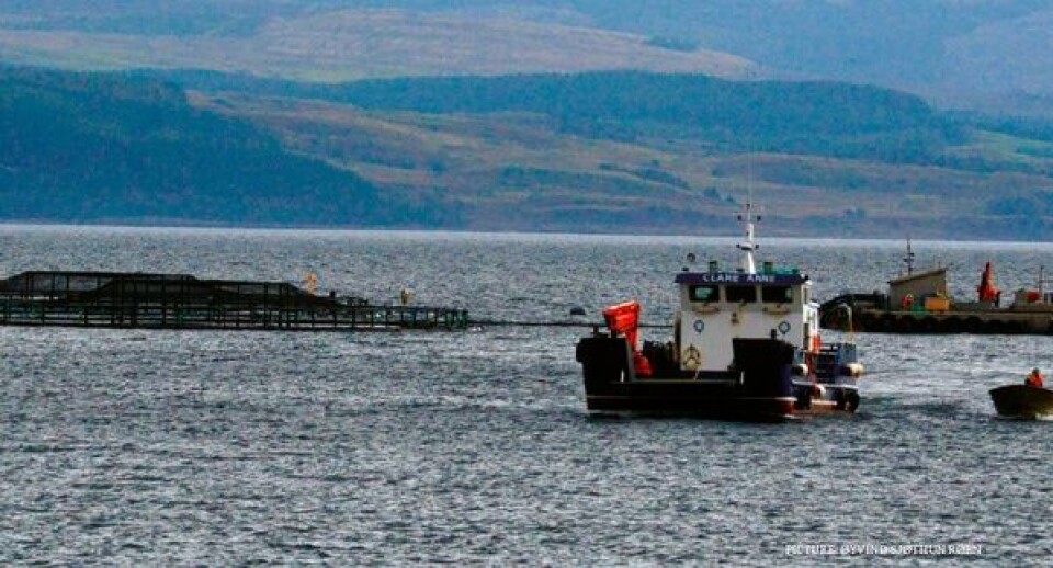 The Annual Fish Farm Production Survey 2012: 2012 was a top year for Scottish salmon production