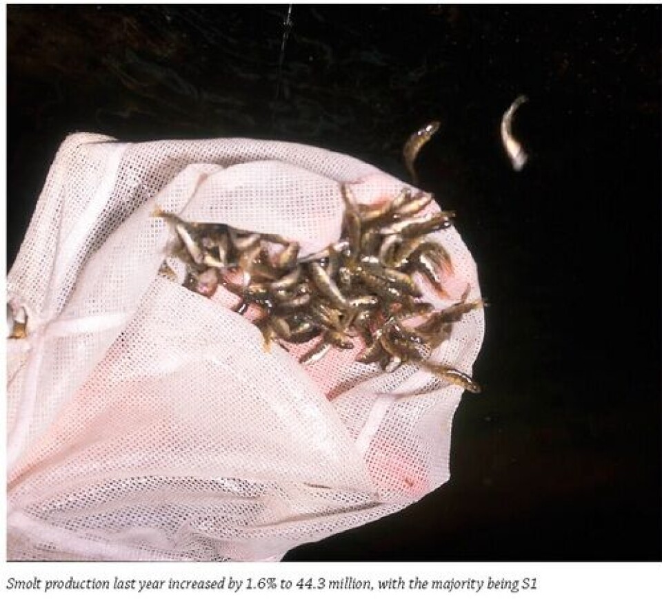 The Annual Fish Farm Production Survey 2012: 2012 was a top year for Scottish salmon production