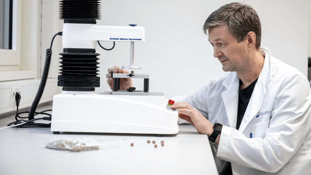 Tor Andreas Samuelsen measures the feed pellets’ fracture strength (hardness). Photo: Helge Skodvin©Nofima. Tor Andreas Samuelsen measures the feed pellets’ fracture strength (hardness). Photo: Helge Skodvin©Nofima.