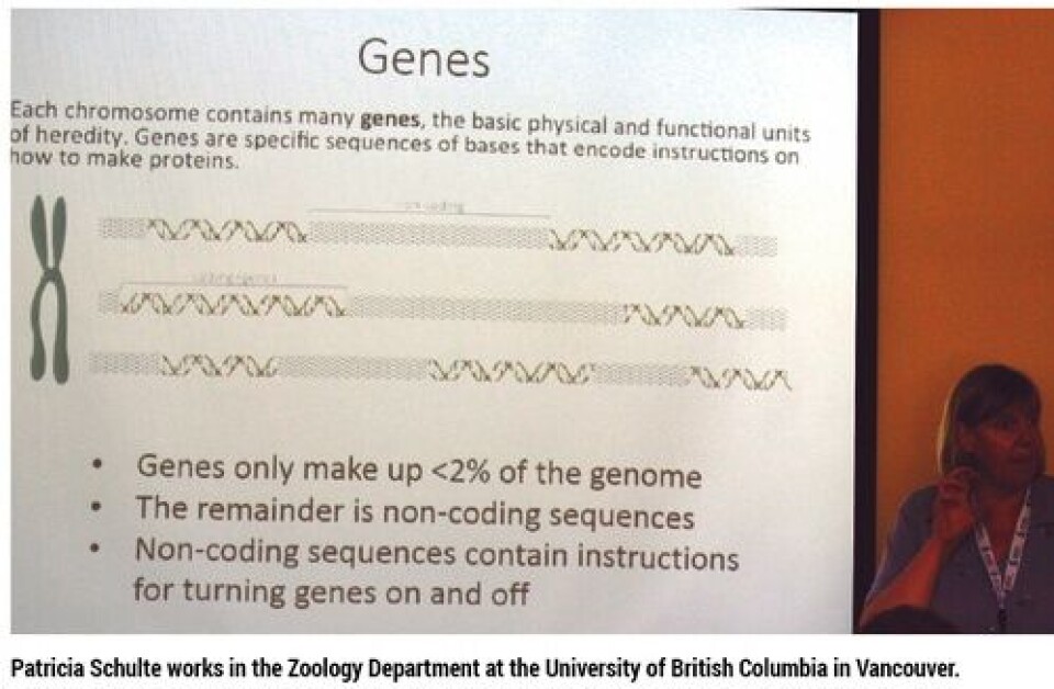 The gene scene
