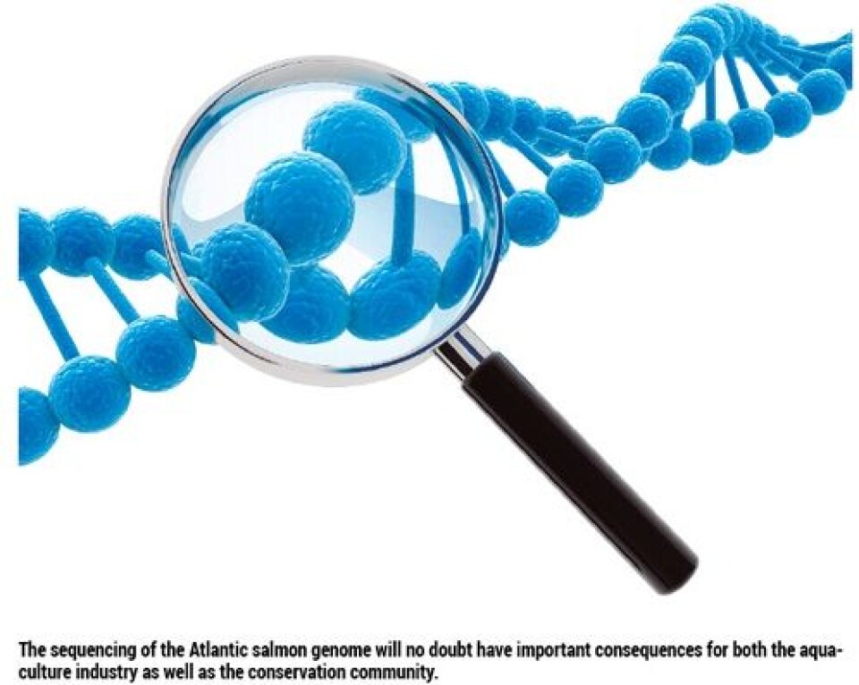 The gene scene