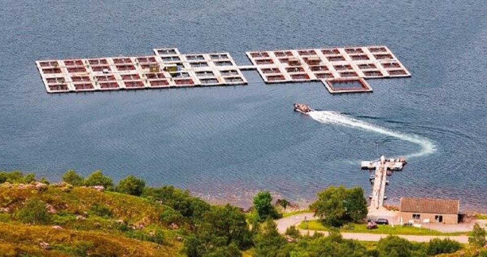 The structure of the Scottish salmon farming industry 2013