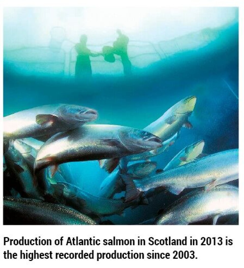 The structure of the Scottish salmon farming industry in 2014