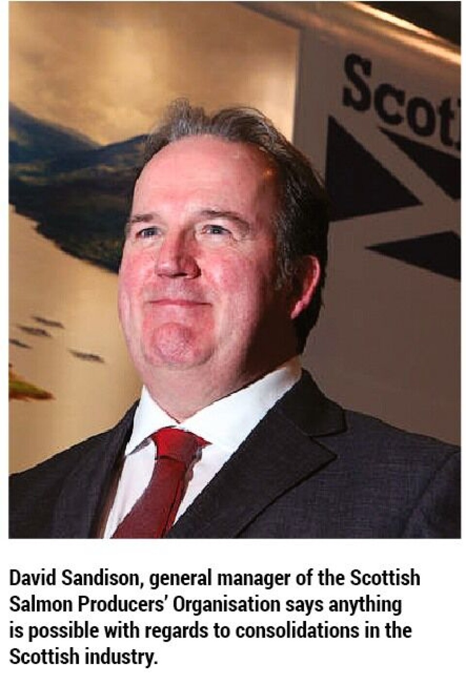 The structure of the Scottish salmon farming industry in 2014