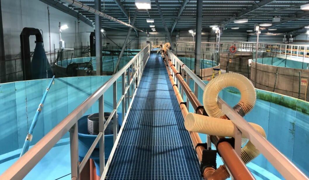 Recirculating aquaculture systems offer advantages but more knowledge is required on the impacts of such rearing systems, says project leader Herve Migaud. Photo: University of Stirling. Recirculating aquaculture systems offer advantages but more knowledge is required on the impacts of such rearing systems, says project leader Herve Migaud. Photo: University of Stirling.