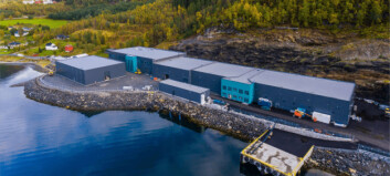Three-day hatching for Benchmark’s flagship salmon egg facility
