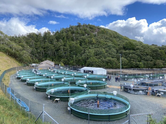 The upgraded Inverkerry hatchery and smolt unit will provide a safe and steady supply of smolts for Organic Sea Harvest. The upgraded Inverkerry hatchery and smolt unit will provide a safe and steady supply of smolts for Organic Sea Harvest.