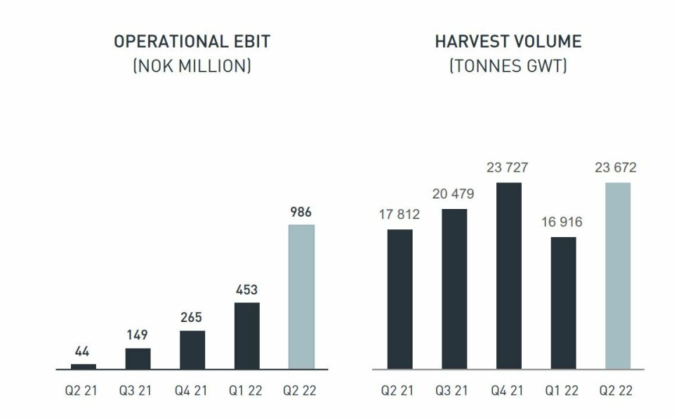 Grieg accelerated harvesting to cash in on the high spot prices in Q2. The company's operating profit was more than three times that of Q4 2021, when the harvest was bigger.