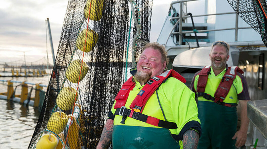 Fish farmers working for Clean Seas Seafood, which has reported improved results. Fish farmers working for Clean Seas Seafood, which has reported improved results.