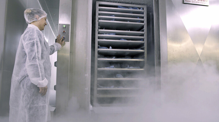 Clean Seas uses liquid nitrogen to freeze fish products quicker. Clean Seas uses liquid nitrogen to freeze fish products quicker.