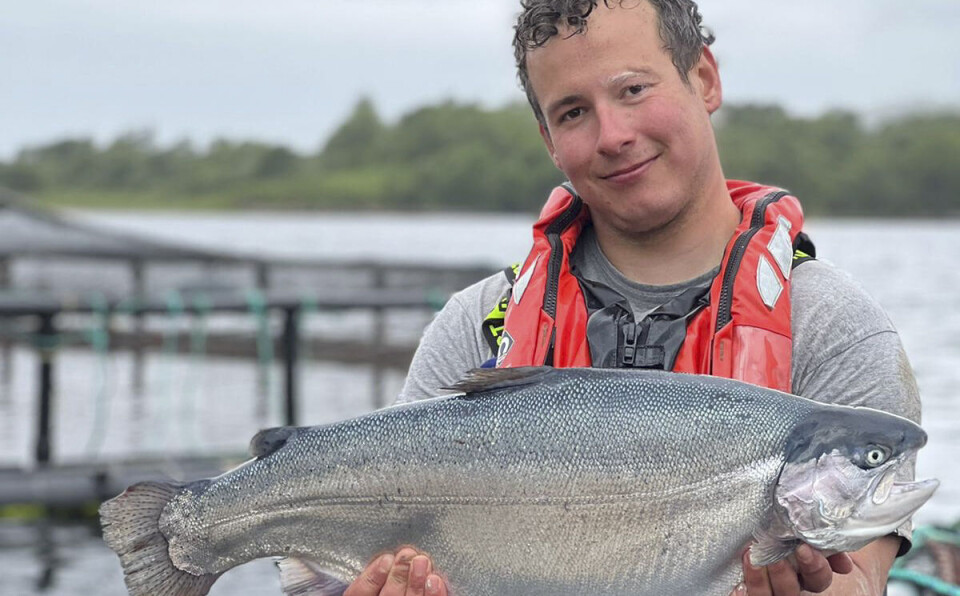 Kames partners with Xelect to breed Scotland-specific steelhead