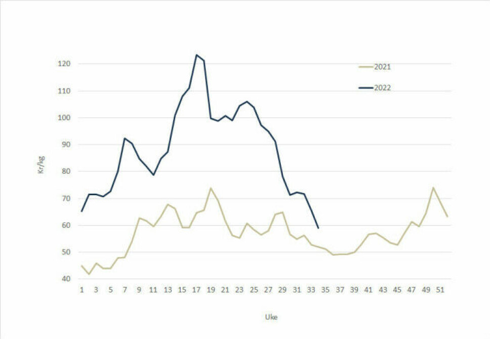 The salmon price throughout 2021 (grey line) and 2022 (blue line).