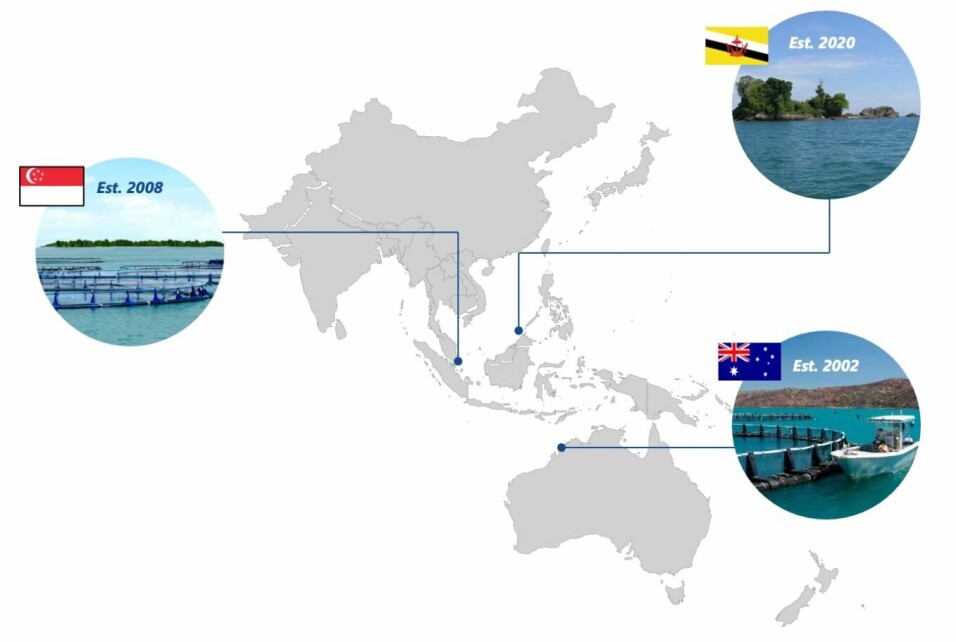 Barramundi Group farms in Singapore, Brunei, and Australia, but may sell its Kimberley operation if it can't fund expansion.