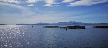 MSPs to see salmon farming up close
