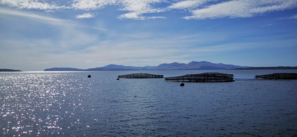 MSPs will visit Scottish Sea Farms' Dunstaffnage site near Oban as part of a fact-finding trip.