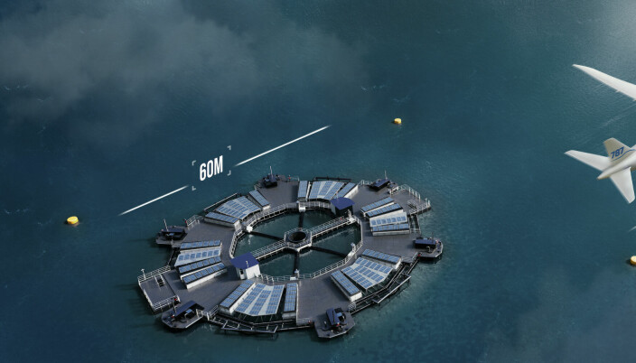 3D images of Marine Donut showing the size of the project.