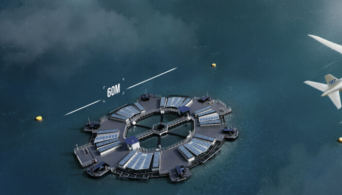 3D images of Marine Donut showing the size of the project. 3D images of Marine Donut showing the size of the project.
