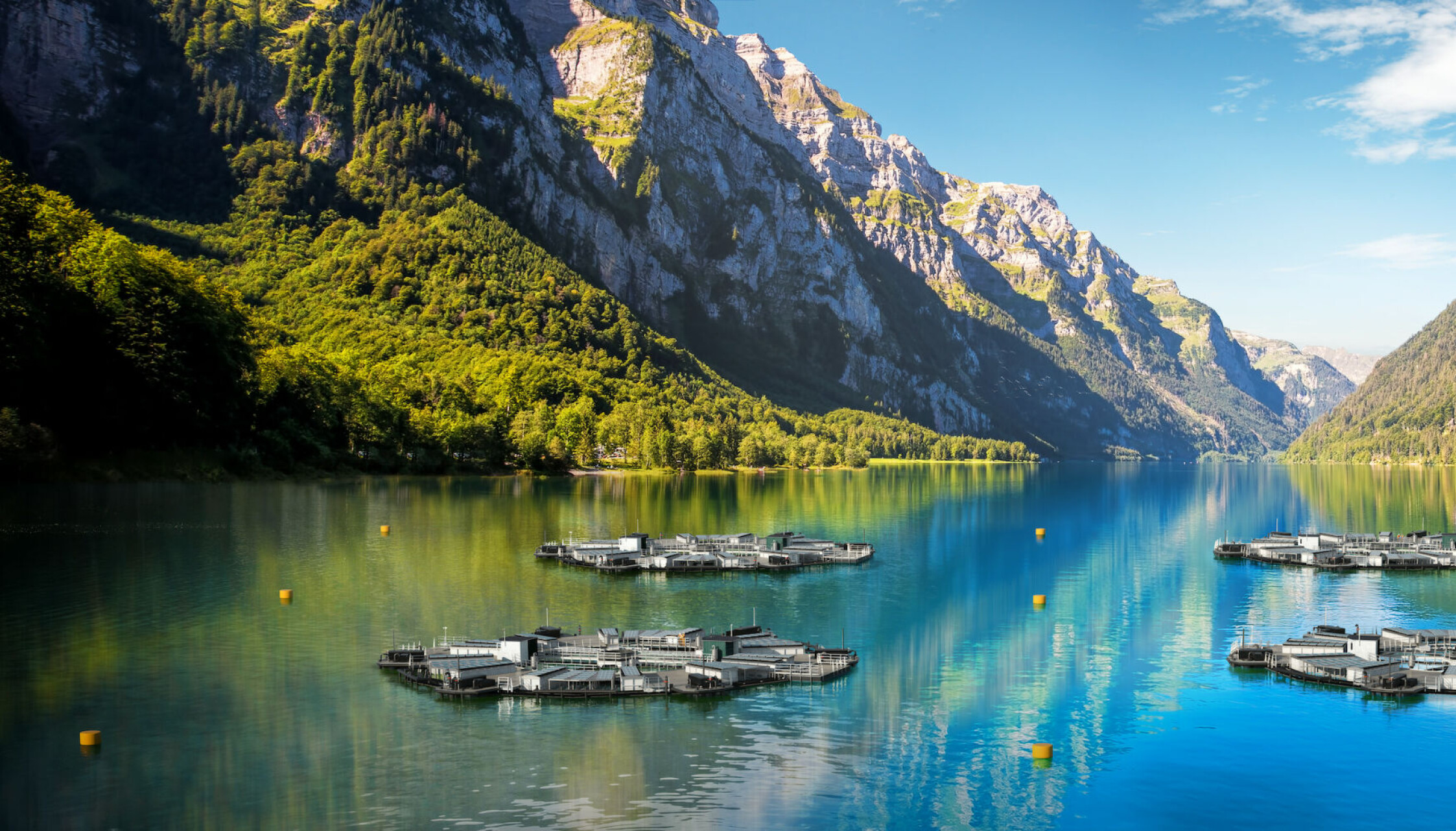 Illustration of Marine Donuts submerged in a fjord.