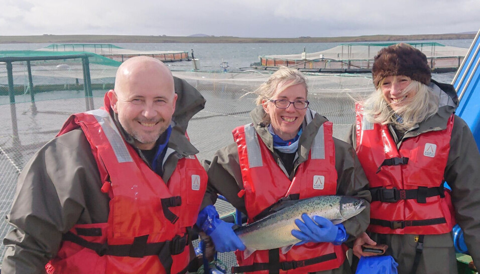 From left: Northern Isles regional manager Richard Darbyshire hosting SRUC's Mary Thomson and Caroline Argo at the company's Shapinsay farm on Orkney.