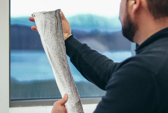 A salmon skin with the scales removed. Watch a video of the Norskin process <a href="https://www.norskin.no/product" aria-label="">on the company's website</a>. A salmon skin with the scales removed. Watch a video of the Norskin process <a href="https://www.norskin.no/product" aria-label="">on the company's website</a>.