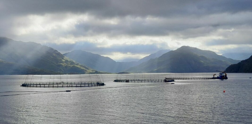 The 160 m pens at Loch Hourn.