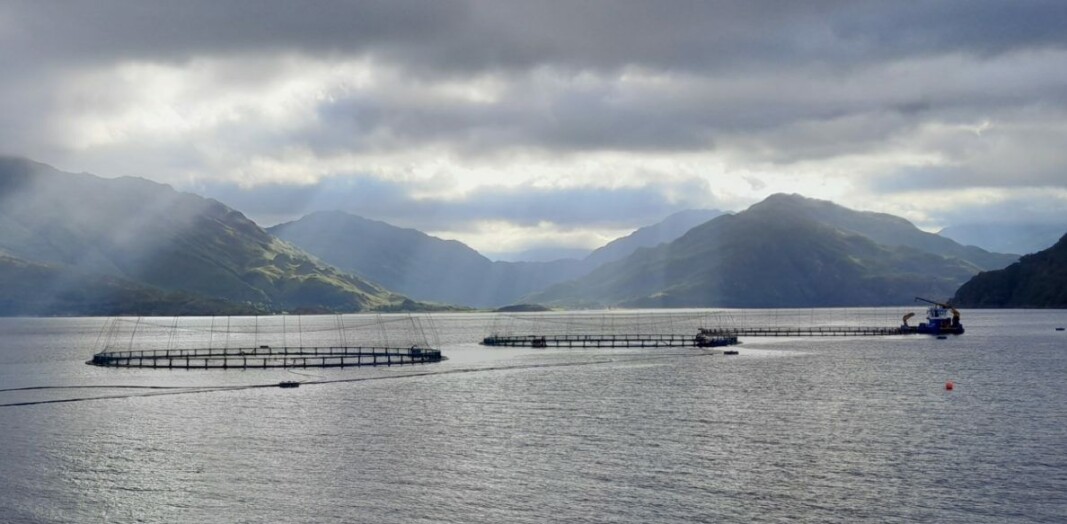 The 160 m pens at Loch Hourn. The 160 m pens at Loch Hourn.