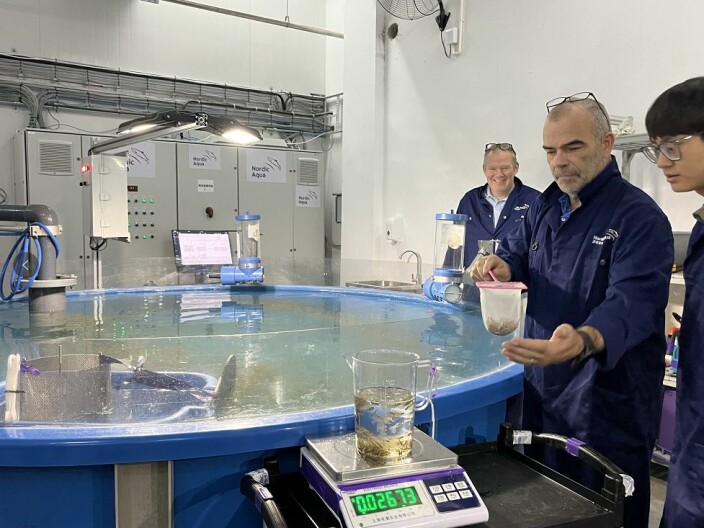 Production manager Bergur Martinsen inspects the fry. Production manager Bergur Martinsen inspects the fry.